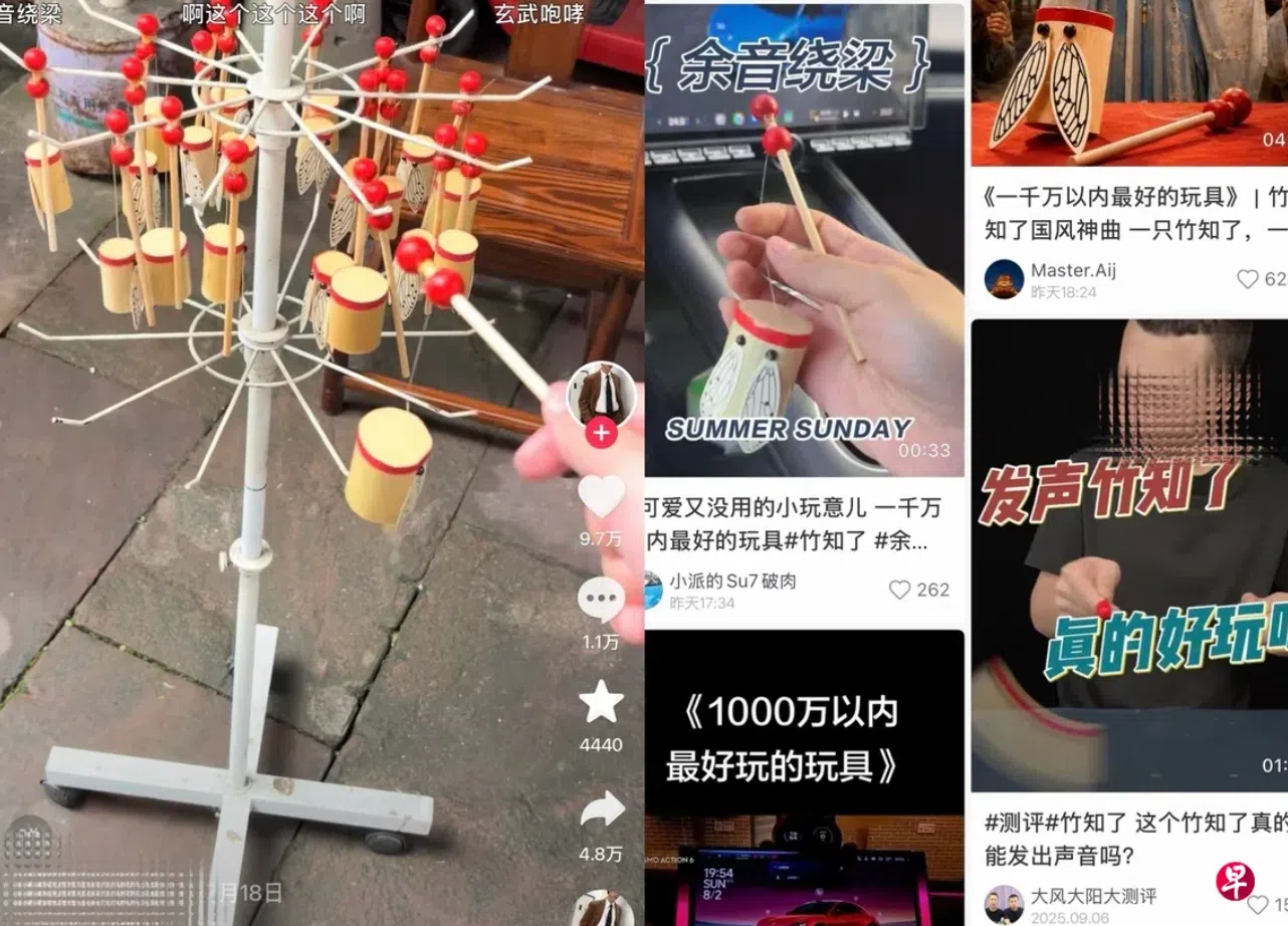形似知了的竹制玩具“竹知了”,被部分中国网民用来调侃华为高管的宣传话术,逐渐演变成网络迷因。部分视频随后遭华为投诉下架。(抖音截图)