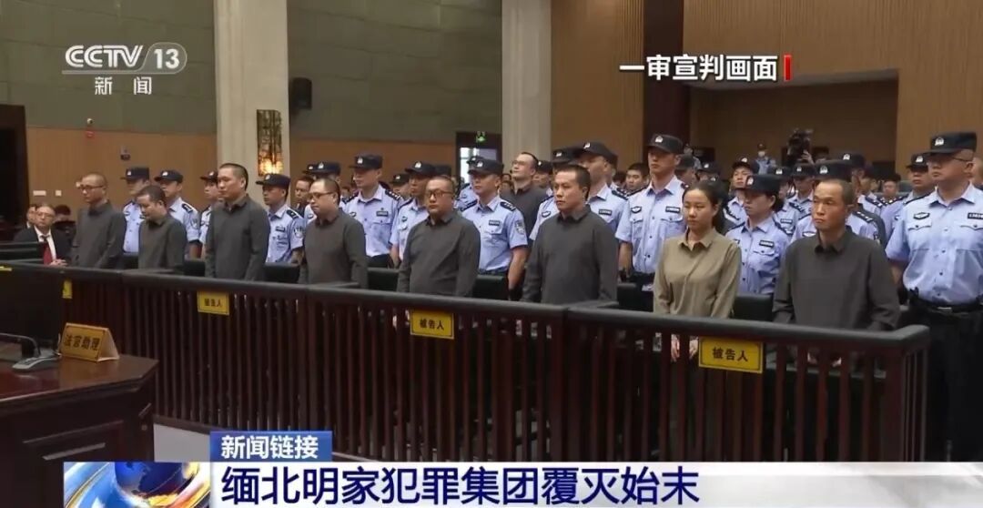 (图/央视)