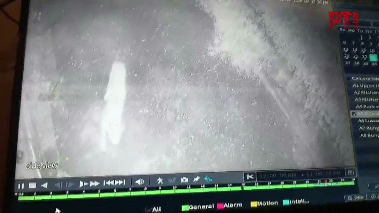 印度日前发生一起令人心碎的惨剧，一名年仅6岁的女童在自家庭院玩耍时，竟遭一只潜伏在身后的花豹以迅雷不及掩耳的速度猛扑袭击，随后被拖入阴影中咬死，监视器纪录下恐怖瞬间。（X@PTI_News）