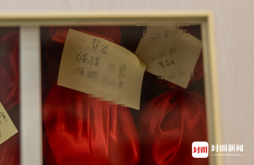 成都永新无害化处置有限公司暂存的火化后的宠物骨灰