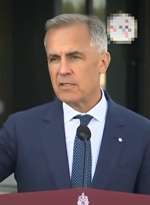 总理马克・卡尼(Mark Carney)则表示不熟悉事件细节,仅称无合法居留权人士须依既定程序处理。(Instagram@kubeirkamal影片截图)