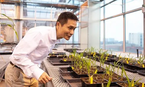 何川。图源:芝加哥大学